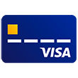 Visa credit card icon