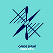 Canoe Sprint Logo
