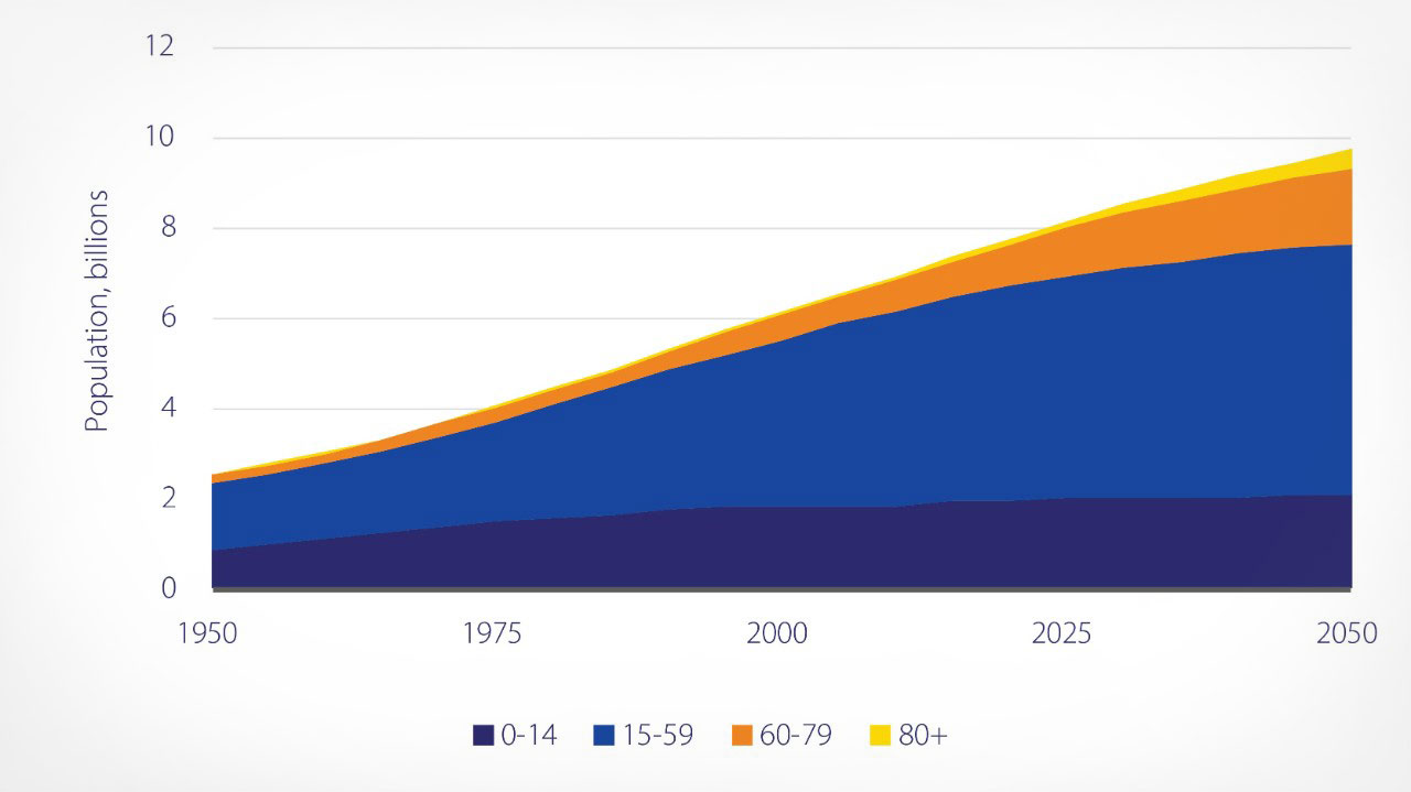 Population projection graph showing age 1-80 from 1950 to 2050.