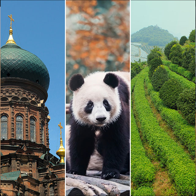 visa year of tourism
