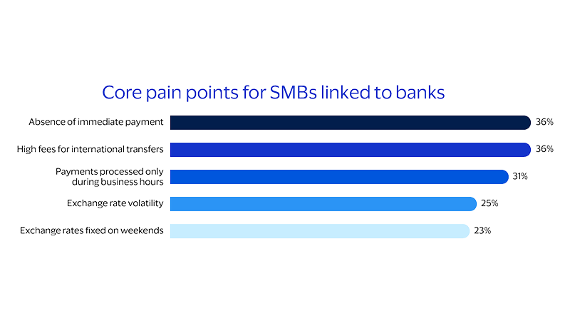 Chart depicting pain points for SMBs
